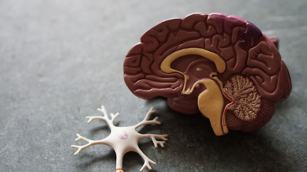 Scalp Acupuncture for Stroke Recovery: How Neuro-Acupuncture Supports Neurological Rehabilitation