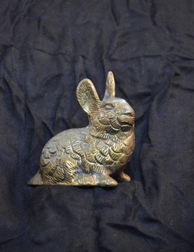 Bunny Rabbit | InDesign