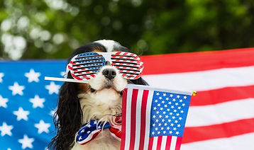 Patriotic-Pets-1024x684.jpg