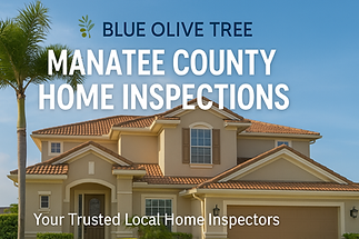Blue Olive Tree Home Inspections LLC