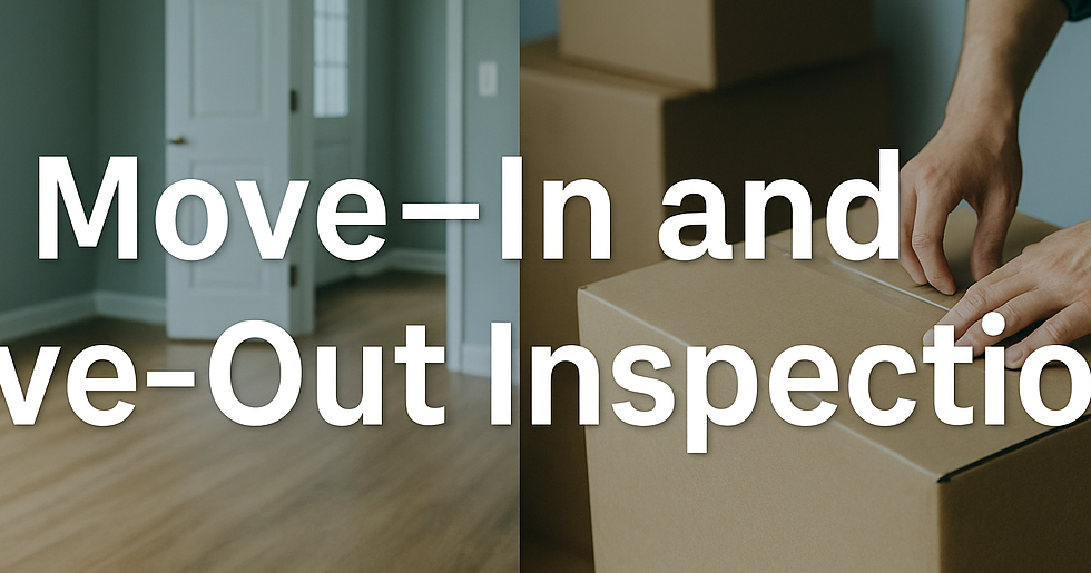 Blue Olive Tree Home Inspections LLC