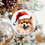 Thumbnail: Dogs in Santa Hats