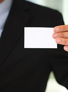 Business Introduction