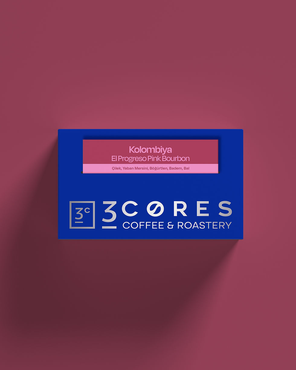 3 Cores Coffee & Roastery - Kolombiya El Progreso Pink Bourbon Filtre Kahve - Taze Kavrulmuş Çekirdek Kahve