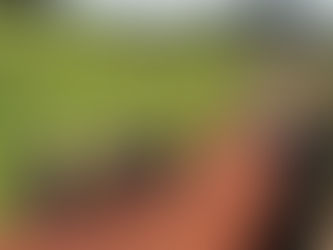 Uçurumun Kıyısında Bir Çekirdek: Etiyopya Musa Lulesa