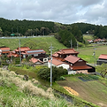 IMG_8520.HEIC