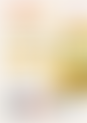 BUS SERVICE FÜR DIE SOMMER- FEREINCAMPS