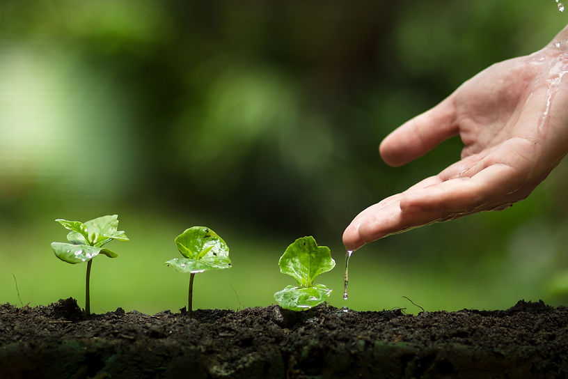 ey-growth-acquisition-bannerimage_edited