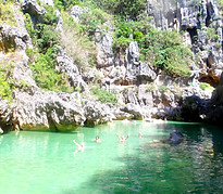 Tangke Saltwater Lagoon