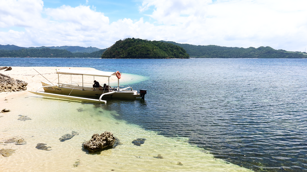 Danjugan Island