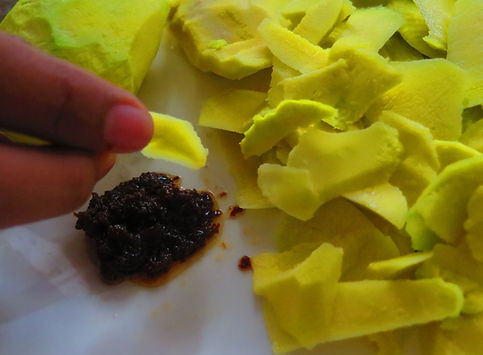 GreenMangoDish.jpg