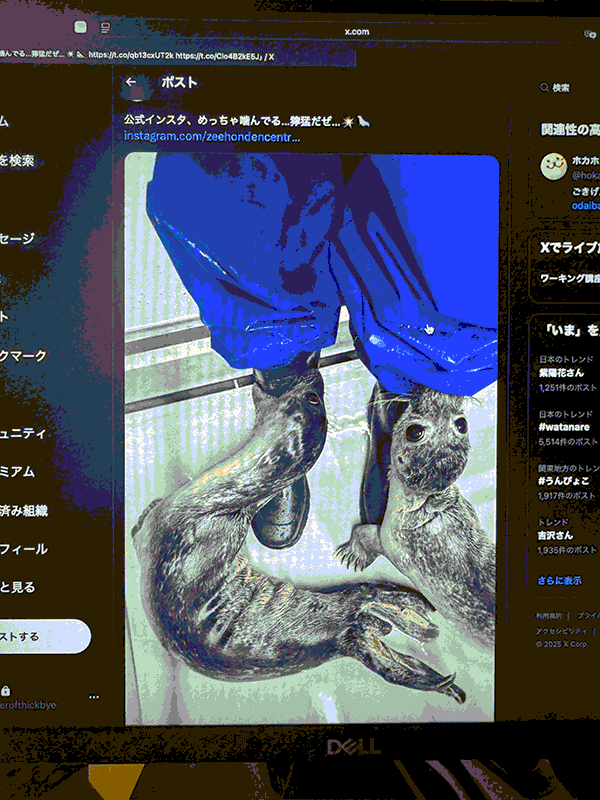 tweet.gif