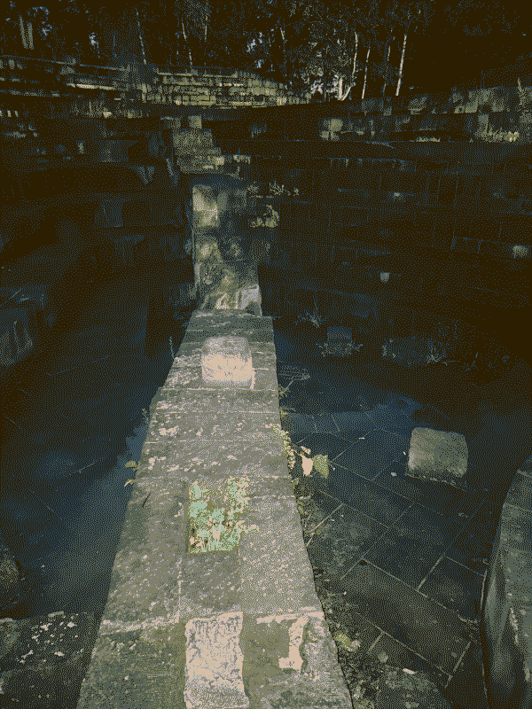2.gif