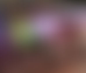 Barefoot en Pekín 2015