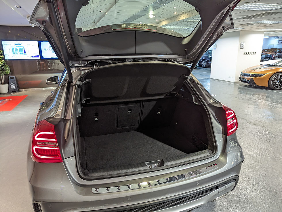縮圖：2014 Mercedes Benz GLA250 4Matic (X156)