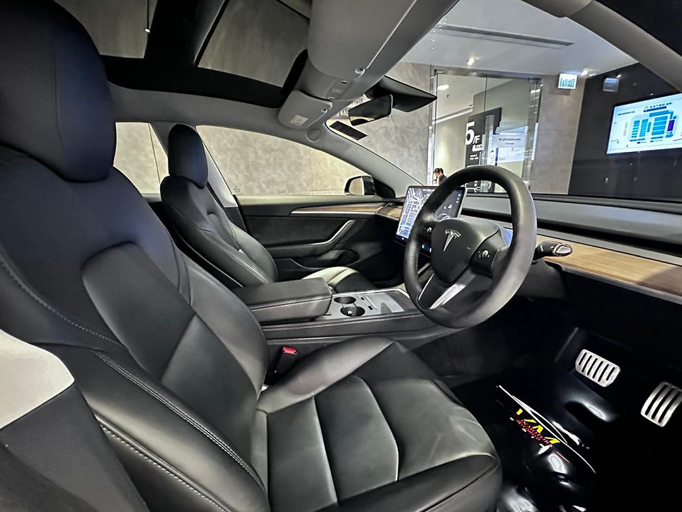 縮圖：2021 TESLA MODEL 3 Performances