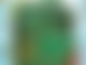 Une compétition à oublier