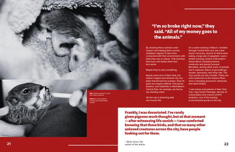 Captura de Tela 2025-02-23 às 21.03.33