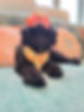 20260325_154546.jpg