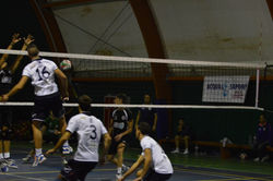 DSC_8158 (Copia).JPG