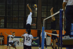 DSC_8758 (Copia).JPG