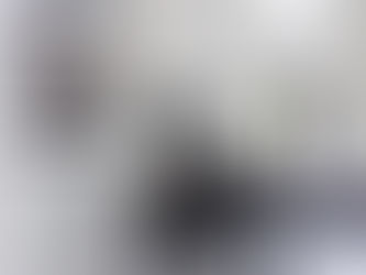 Modern Front Door Window Covering Ideas for Your Pittsburgh Home