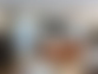 A Perfect Match for Your Home: Radiant Window Fashion and Pella Windows