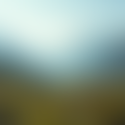 Achieve Success with Mental Performance Coaching