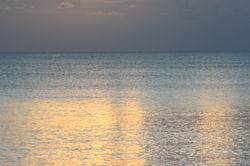 sunsetz
