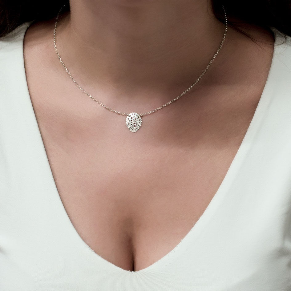 PVP:21.95 AHORA:15.95