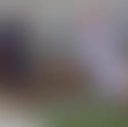 First ever PLL Pro Day to be held in Baltimore in late May; will invite only for undrafted and player pool players.