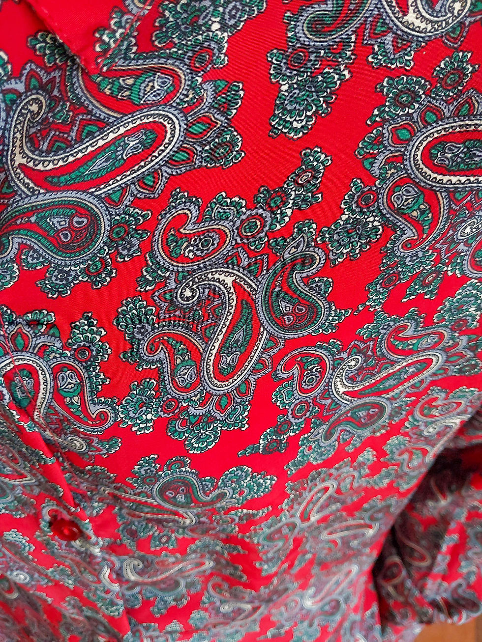 Miniatura: Camisa Anos 70 Anna (tam M)