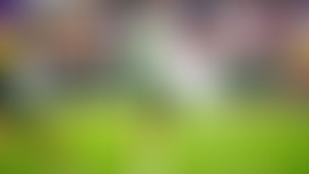 Low goal totals are good, never go to bed early, and it's Rochester's title to lose. NLL Week 4 Overreactions