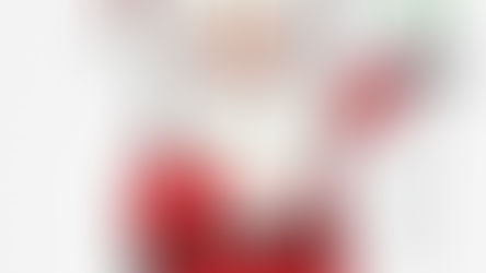 The Sticks In Christmas Wishlist