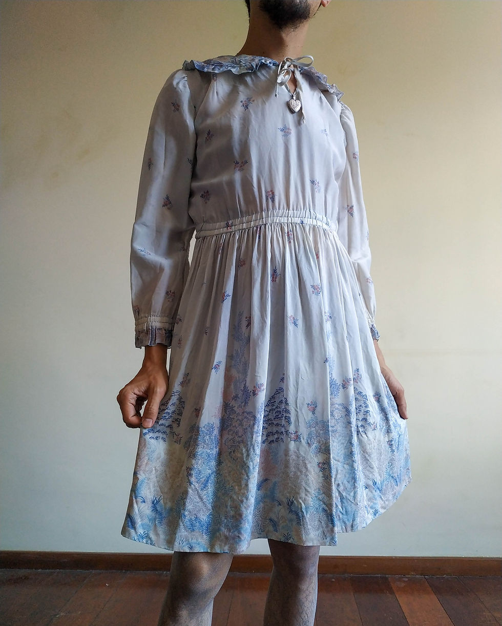 Miniatura: Vestido Vintage Encanto em Organza (tam P)