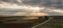 Sunlight over rural fields and farm under cloudy sky