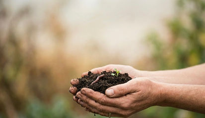 Hands holding rich compost soil with a sprout and worm.