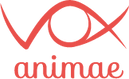 Logo Vox Animae