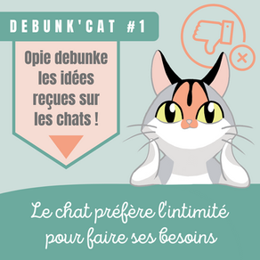 DEBUNK'CAT #1 : le chat préfère l'intimité pour faire ses besoins