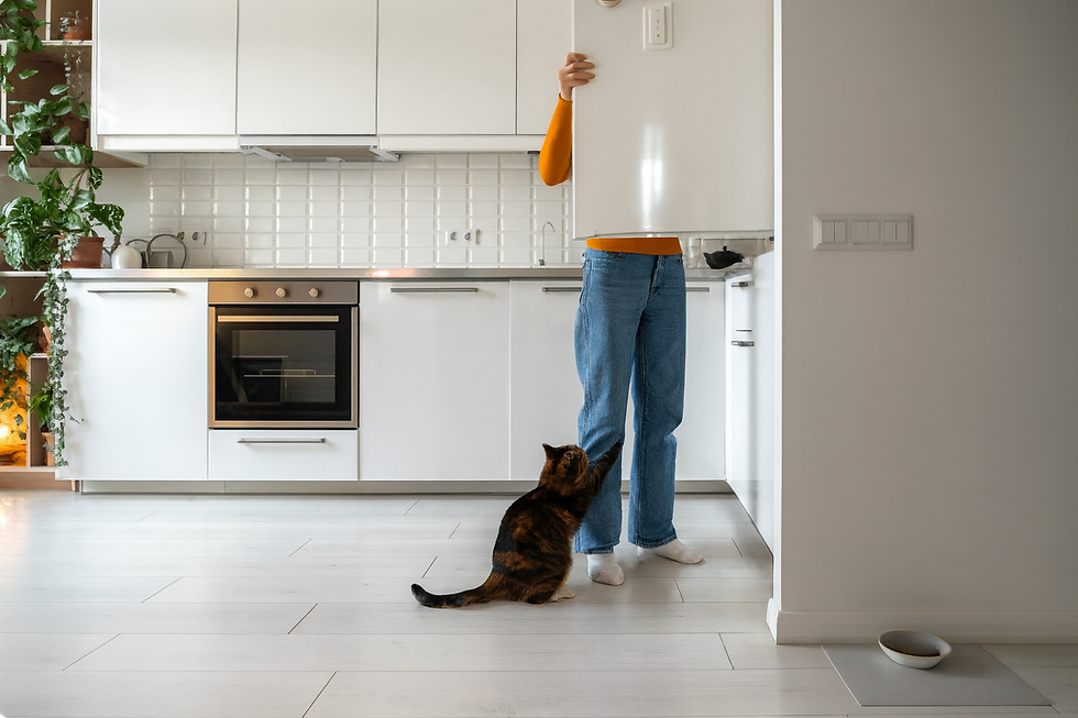 Un chat qui a faim peut attaquer au moment du repas