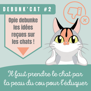 DEBUNK'CAT #2 : il faut prendre son chat par la peau du cou pour l'éduquer