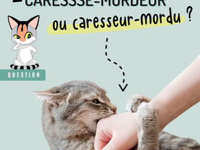 Caressé-mordeur... ou caresseur-mordu ?