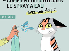 Comment bien utiliser le spray à eau avec son chat ?
