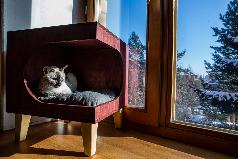 Proposer des coins dodos au soeil pour son chat