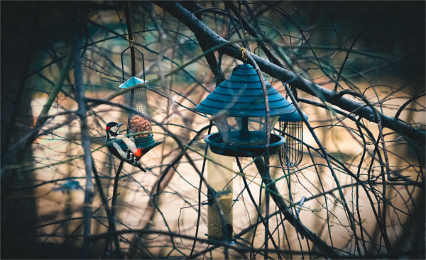 Die Early Birds bekommen ihre Ferienwohnung bei gutem Revenue Management schon zum Durchschnittspreis