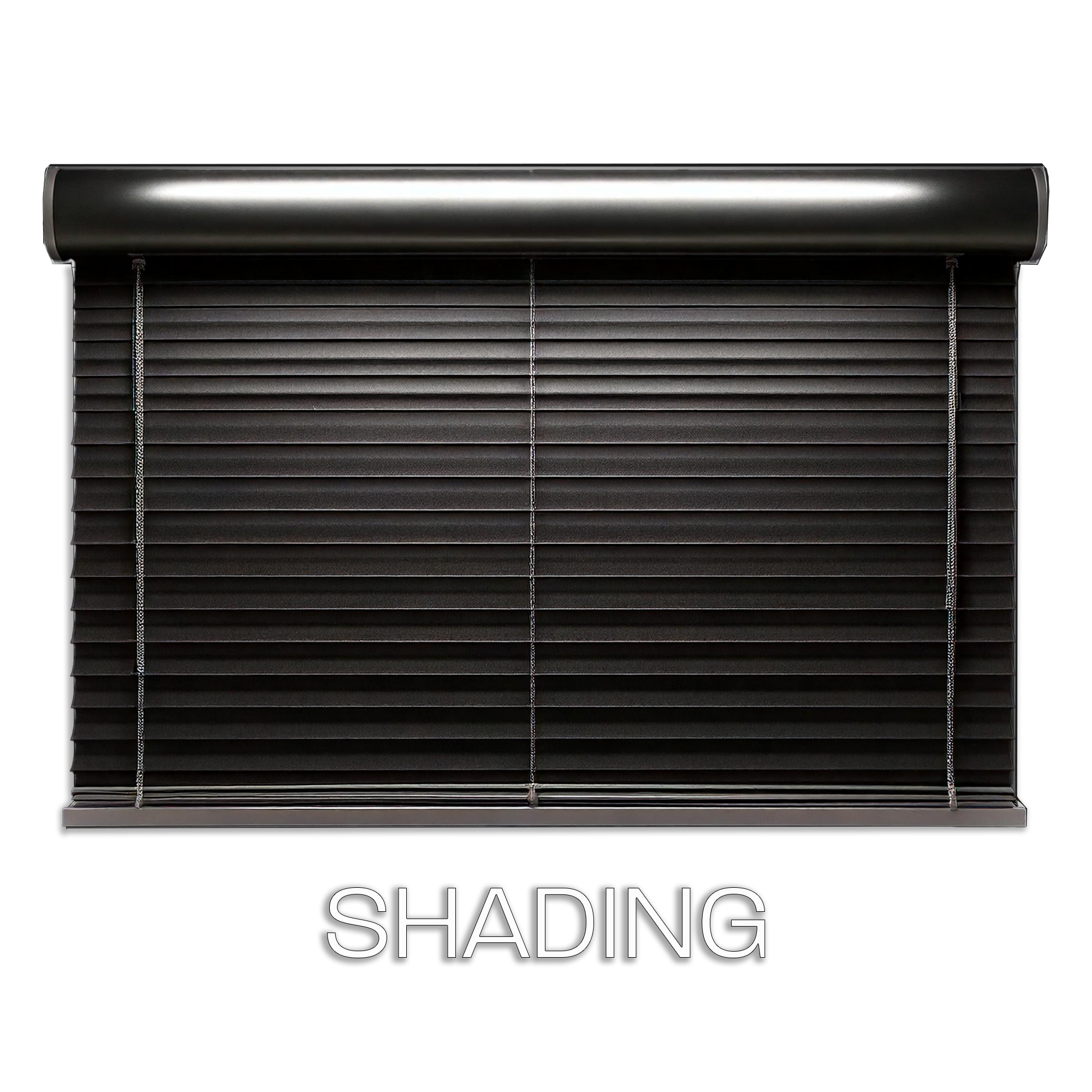Shading Colour + Text.png