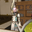執筆者の写真: arriere