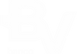 BV.png