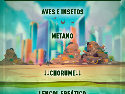 Contaminação do Lençol Freático
