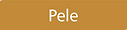 Icone Pele